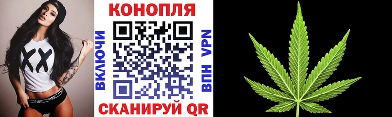 Шишки марихуана OG Kush  Ишимбай 